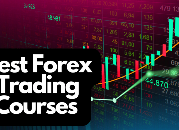 Beginners Forex Trading Course